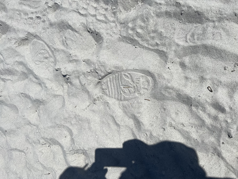 Jacksonville Beach Florida Beach Sandals
